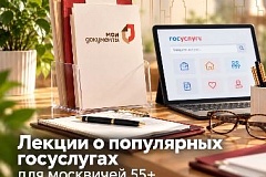 От жилищных вопросов до социальных льгот: разбираемся вместе с руководителями центров госуслуг «Мои документы»